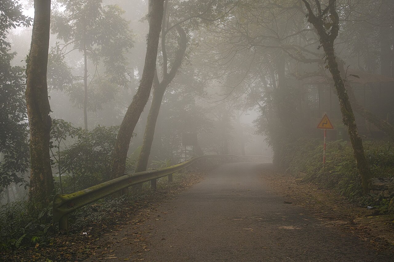 File:Ba Vì National Park, foggy road.jpg