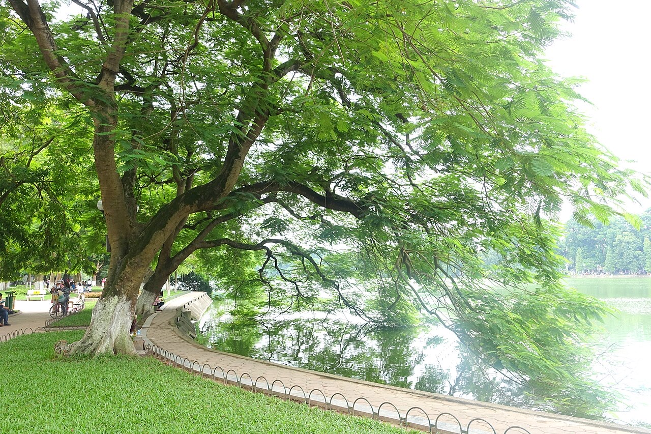 File:Hoan Kiem Lake - Hanoi, Vietnam - DSC03687.JPG