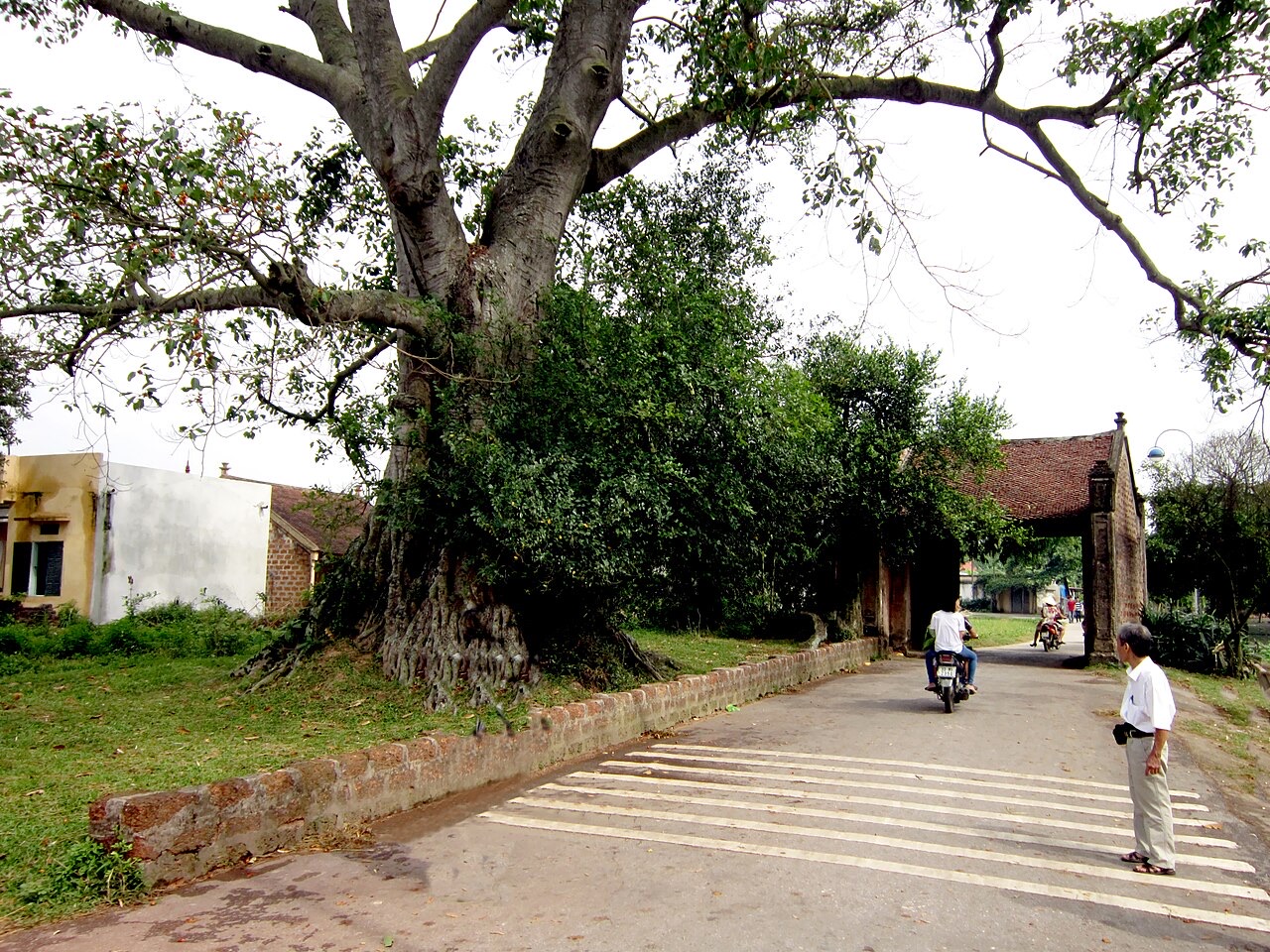 File:Cổng vào làng cổ Đường Lâm.jpg