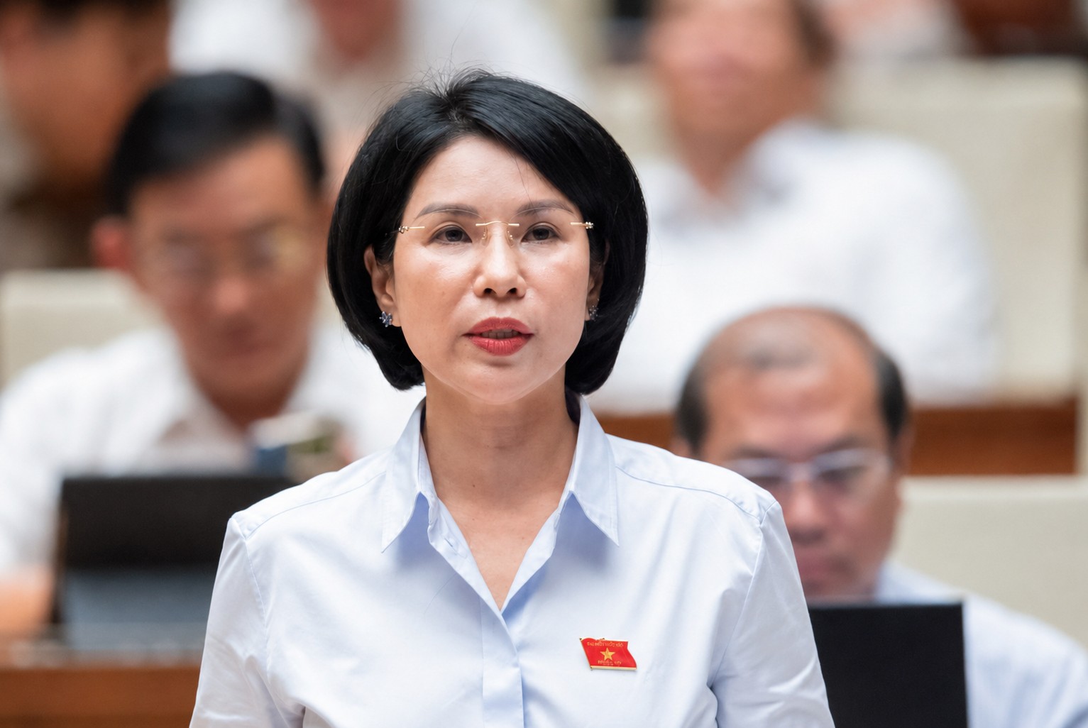 Chân dung TS.BS. Trần Thị Nhị Hà tại nghị trường Quốc hội